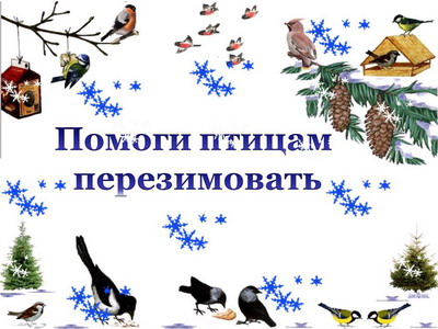 Обучающие города Шумерли инициировали акцию «Покормите птиц зимой!»
